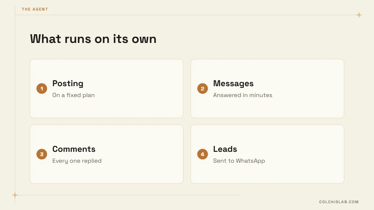 Tasks handled by Facebook page automation